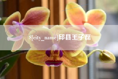 范县邱县王子磊