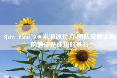 范县5000米滑冰接力-团队成员之间的信任是成功的基石