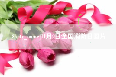 范县11月9日全国消防日图片
