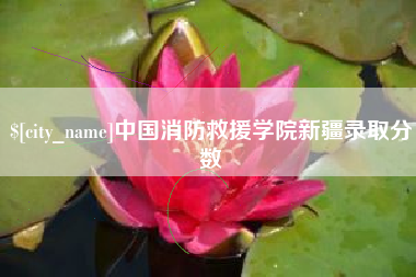 范县中国消防救援学院新疆录取分数