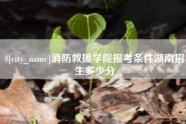 范县消防救援学院报考条件湖南招生多少分