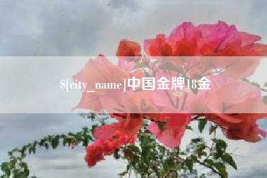 范县中国金牌18金