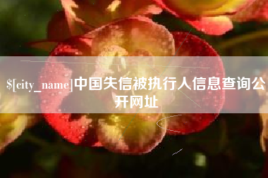 范县中国失信被执行人信息查询公开网址