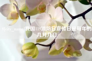范县我国119消防日宣传日是每年的几月几日