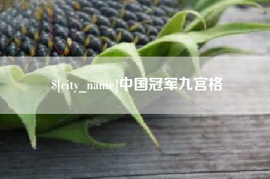 范县中国冠军九宫格