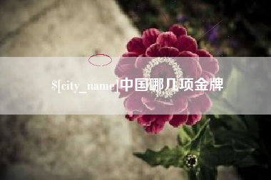 范县中国哪几项金牌
