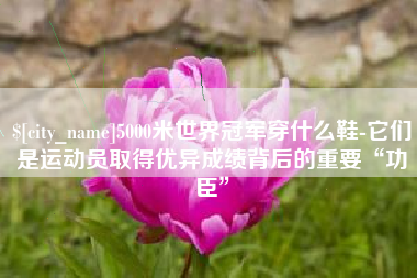 范县5000米世界冠军穿什么鞋-它们是运动员取得优异成绩背后的重要“功臣”