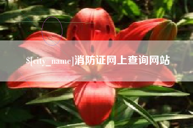 范县消防证网上查询网站