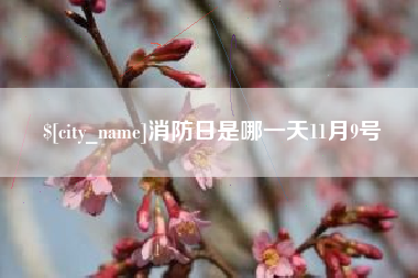 范县消防日是哪一天11月9号