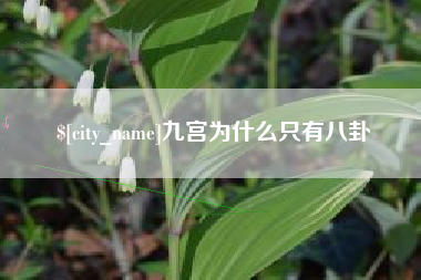 范县九宫为什么只有八卦
