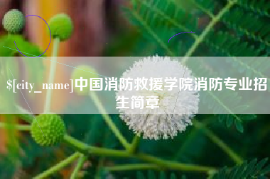 范县中国消防救援学院消防专业招生简章