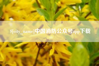 范县中国消防公众号app下载