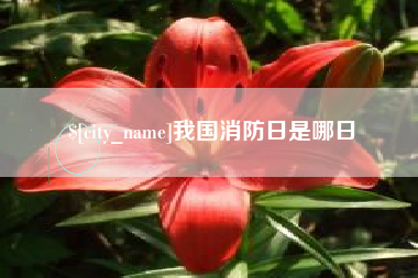 范县我国消防日是哪日