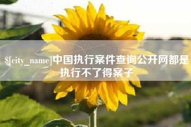范县中国执行案件查询公开网都是执行不了得案子