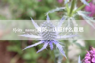 范县消防ccc认证什么意思