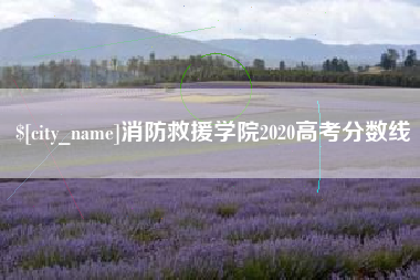 范县消防救援学院2020高考分数线