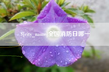 范县全国消防日哪一
