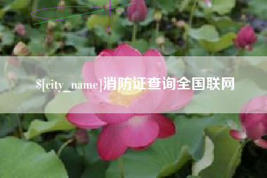 范县消防证查询全国联网