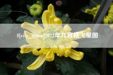 范县2022年九宫格飞星图