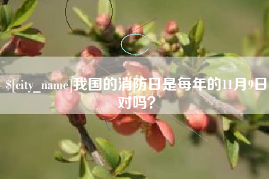 范县我国的消防日是每年的11月9日对吗？