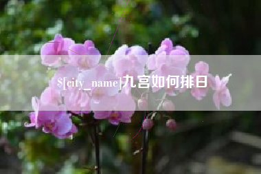 范县九宫如何排日