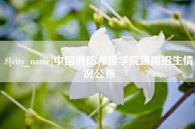 范县中国消防救援学院湖南招生情况公布