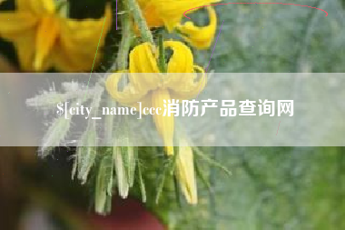 范县ccc消防产品查询网