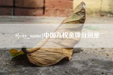 范县中国九枚金牌分别是