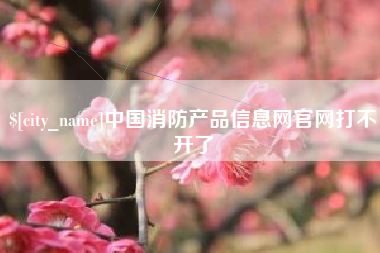 范县中国消防产品信息网官网打不开了