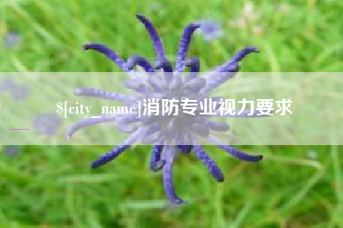 范县消防专业视力要求