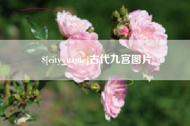 范县古代九宫图片