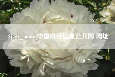 范县中国执行信息公开网 网址