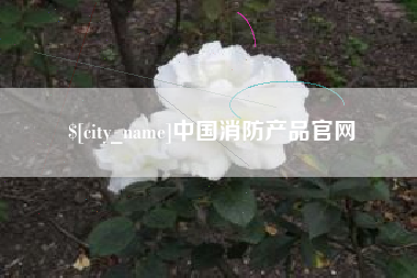 范县中国消防产品官网