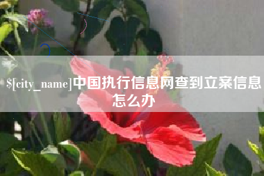 范县中国执行信息网查到立案信息怎么办