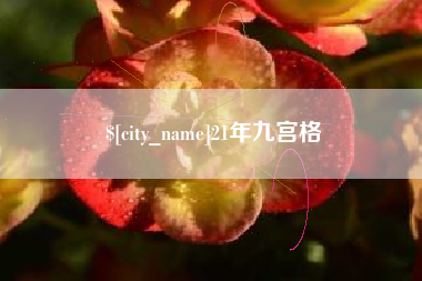 范县21年九宫格