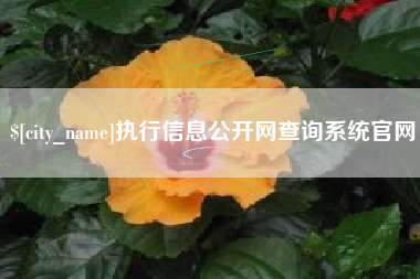 范县执行信息公开网查询系统官网