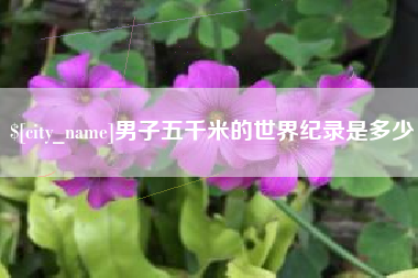 范县男子五千米的世界纪录是多少