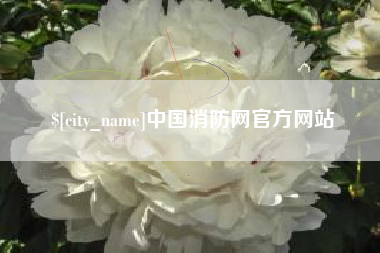 范县中国消防网官方网站