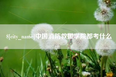 范县中国消防救援学院都考什么