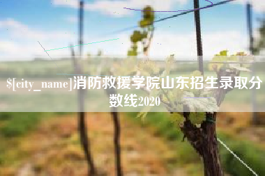 范县消防救援学院山东招生录取分数线2020