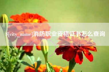 范县消防职业资格证书怎么查询
