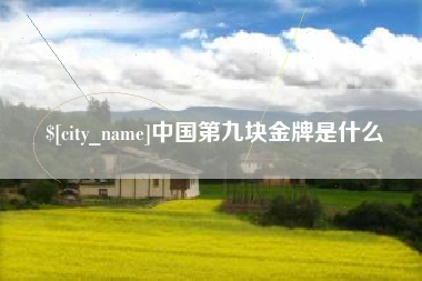 范县中国第九块金牌是什么