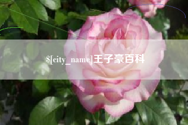 范县王子豪百科