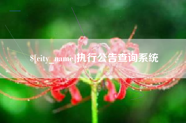 范县执行公告查询系统