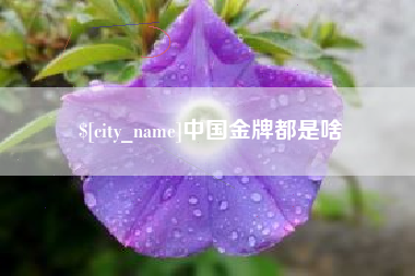 范县中国金牌都是啥