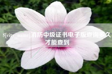 范县消防中级证书电子版查询多久才能查到
