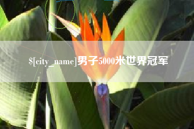 范县男子5000米世界冠军