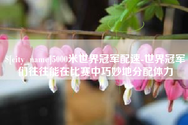范县5000米世界冠军配速-世界冠军们往往能在比赛中巧妙地分配体力