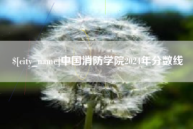 范县中国消防学院2024年分数线