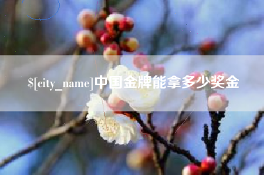 范县中国金牌能拿多少奖金